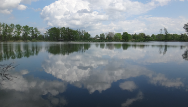 Vrbenské fishponds Nature Reserve 