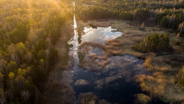 Třeboň Ramsar sites